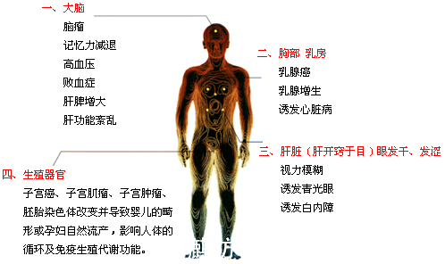 辐射对人体的伤害图 辐射对人体的伤害图